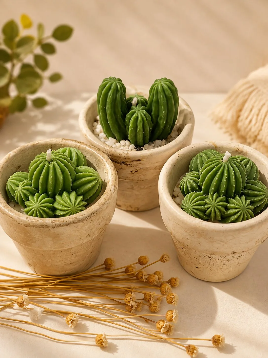 Vela Cacto — Bambu + Chá Branco — foto 2 de 3