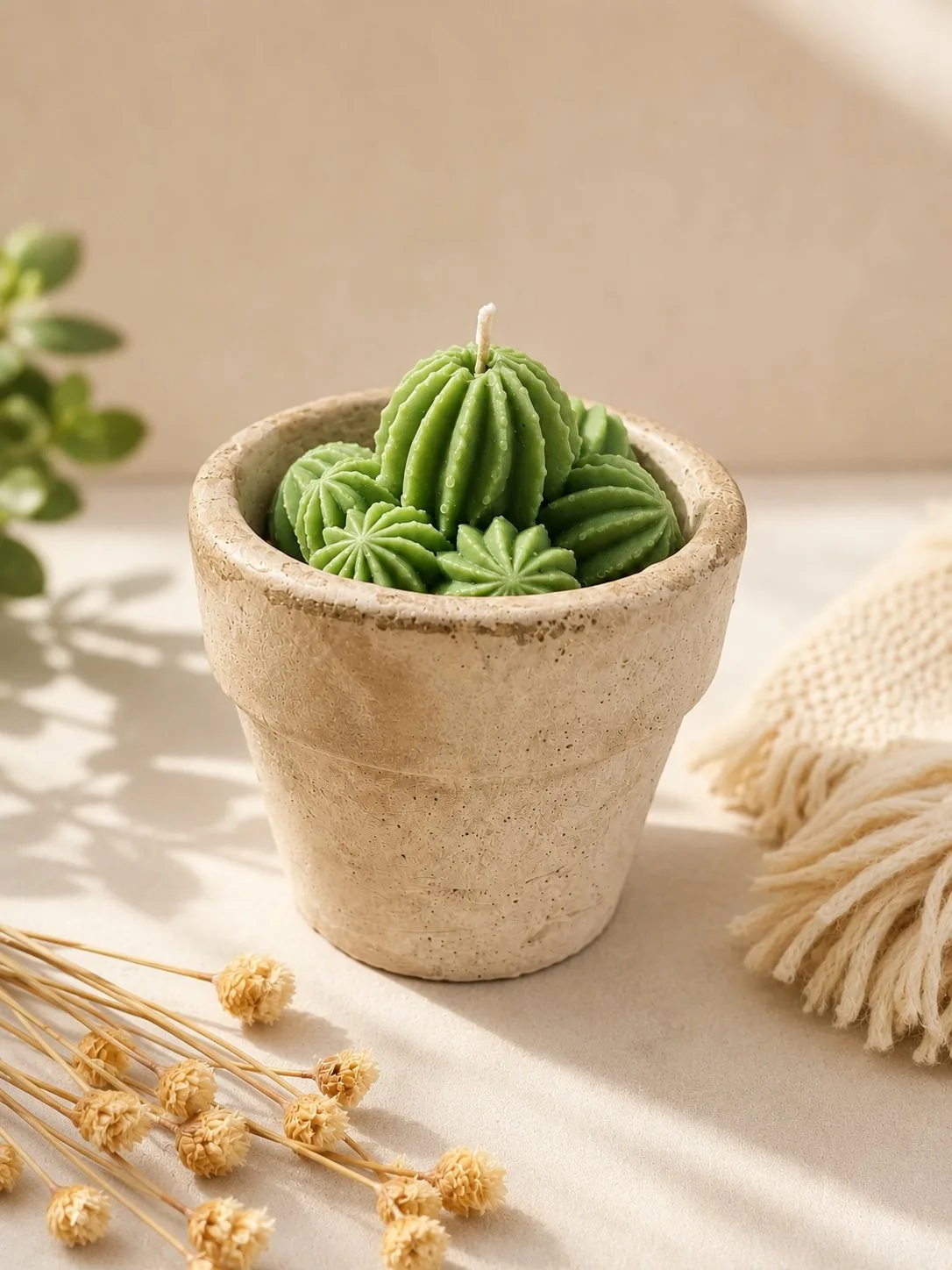Vela Cacto — Bambu + Chá Branco